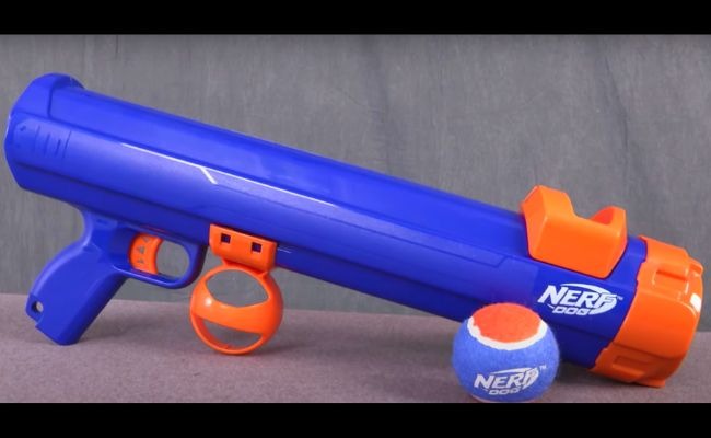 Outlook of Nerf Tennis Ball Blaster for dogs