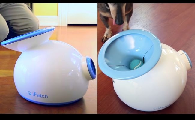  iFetch dog Ball Launcher Out Look