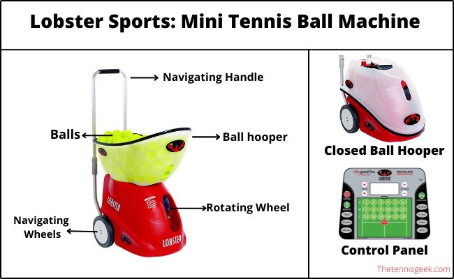 Infographics of Mini Tennis Ball Machine