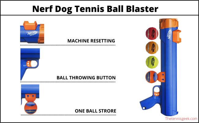 Infographics of Dog Ball Launcher 