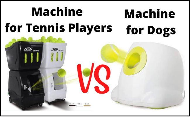 Difference Between Tennis Machines for Dogs and Machines for Athletes